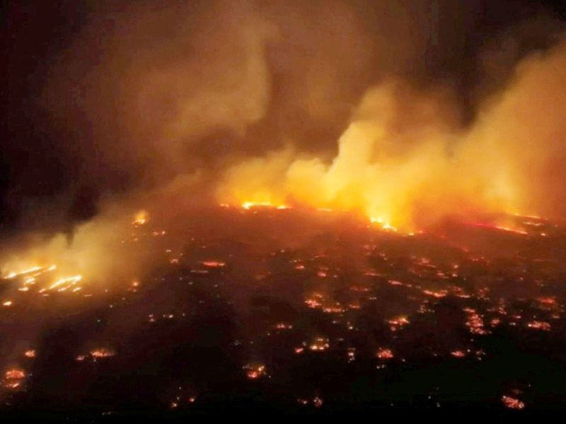 INCENDIOS FORESTALES DEJAN AL MENOS SEIS MUERTOS