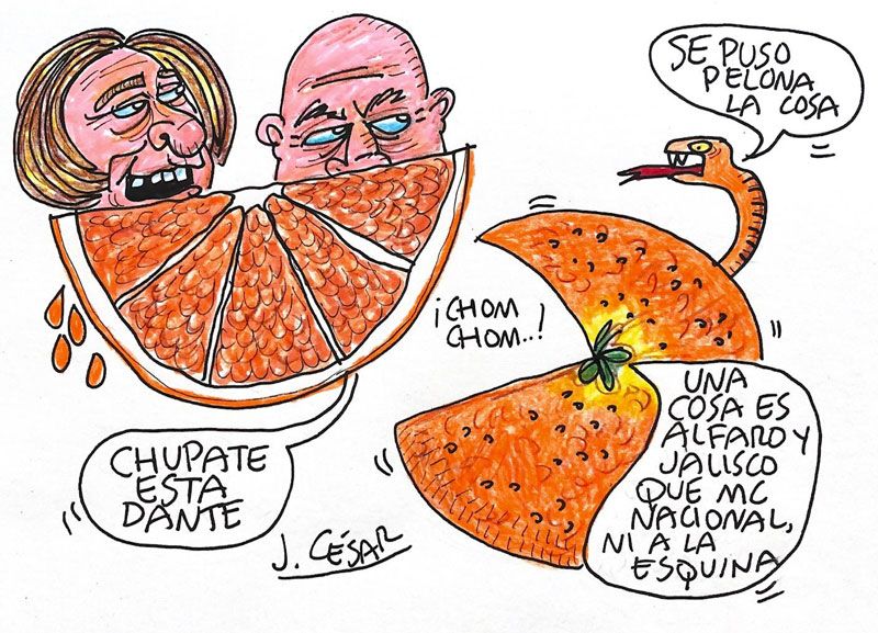 LOS CARTONES