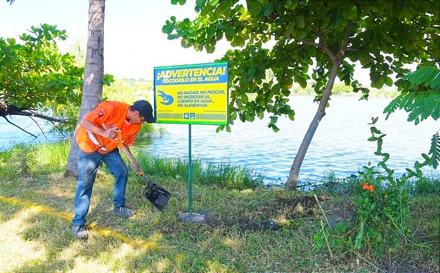 ¡ALERTAN DE COCODRILO Y BOA EN LAGUNAS! -"Se van a poner a lo largo de la laguna para pedirle a la gente que tenga cuidado”