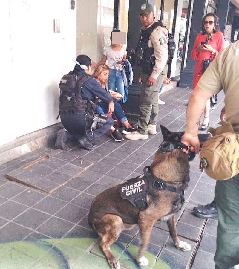 ¡AGENTE CANINO MORDIÓ A MUJER EN EL CENTRO DE XALAPA! -Fue Llevada a Urgencias por una Lesión en la Pierna