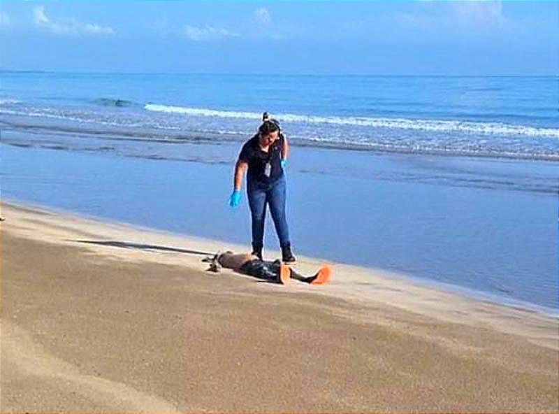 ¡APARECE UN MUERTO EN PLAYAS DE TUXPAN! -No portaba identificaciones, fue enviado a medicina forense