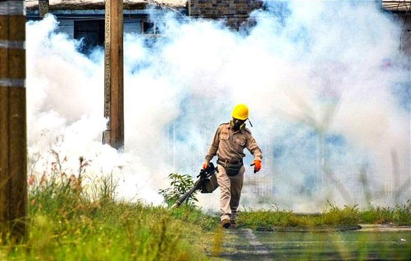 ¡SE DISPARA EL DENGUE! -Veracruz segundo lugar