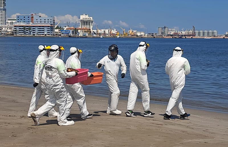 ¡REALIZA SEMAR SIMULACRO DE DERRAME DE HIDROCARBUROS! -En Playa Regatas