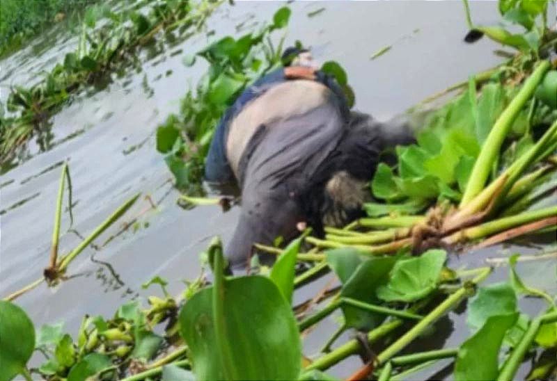 ¡APARECE UN CADÁVER FLOTANDO EN EL RÍO COATZACOALCOS! - Investigan si fue asesinado o murió ahogado