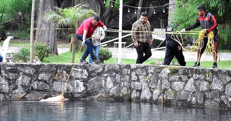 ¡LOCALIZAN UN CADÁVER FLOTANDO EN LAGUNA DE NOGALES! -En calidad de desconocido, el cadáver fue enviado a medicina forense en Orizaba