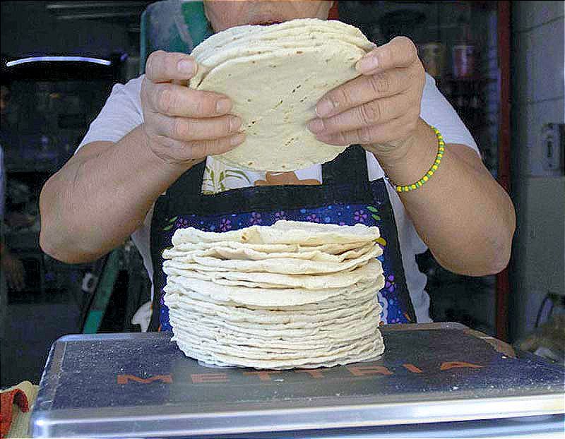 ¡SUBE EL PRECIO DE LA TORTILLA! -Agricultores adelantan que costo del maíz se va a incrementar