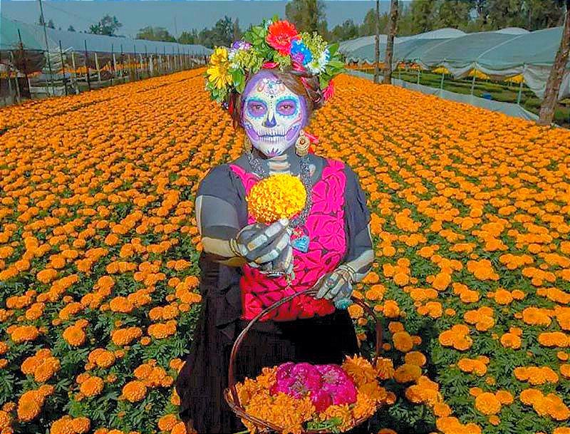 ¡PROHÍBEN FLORES PARA EL DÍA DE MUERTOS EN EU! -Que por si las plagas...