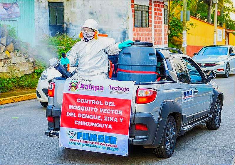 ¡YA HAGAN ALGO! -Diputada Itzel pide al Gobierno incremento de esfuerzos contra el Dengue