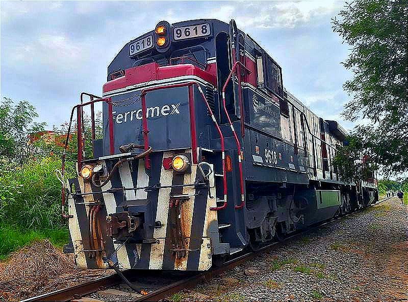 ¡SE LO LLEVA EL TREN, Y LA LIBRÓ! -Le Quiso Ganar el Paso, se Quedó con el Susto y Mallugado