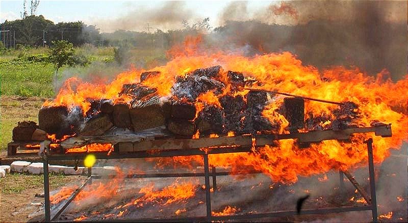 ¡FGR Y SEMAR INCINERAN 236 KILOS DE DROGAS Y TRACTOCAMIONES!