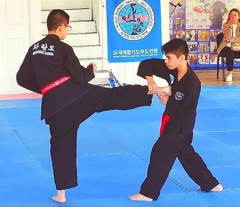 ¡CERTIFICAN VERACRUZANOS DE HAPKIDO INTERNACIONAL! -En Michoacán