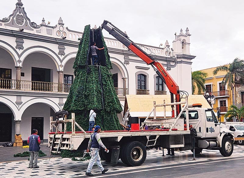 ¡YA HUELE A NAVIDAD! -Colocan Árbol de Navidad en el Zócalo