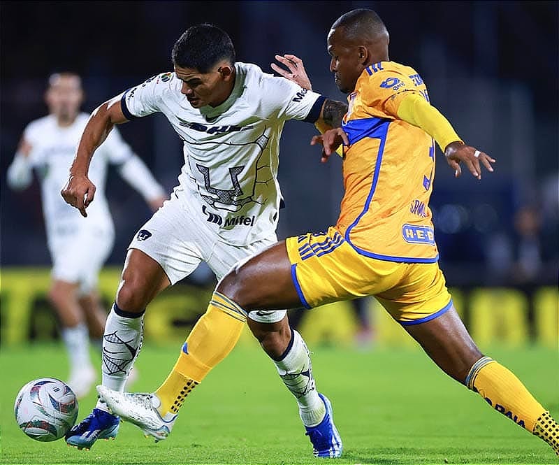 PARTIDO DEFINITIVO... ¡TIGRES BUSCARÁ ELIMINAR A PUMAS, TIENE LIGERA VENTAJA! *LOS REGIOS TIENEN UNA VENTAJA MÍNIMA EN LA BOLSA