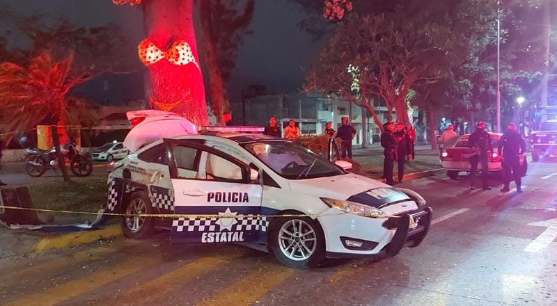 ¡PATRULLAZO EN EL ÁRBOL DEL BIKINI!