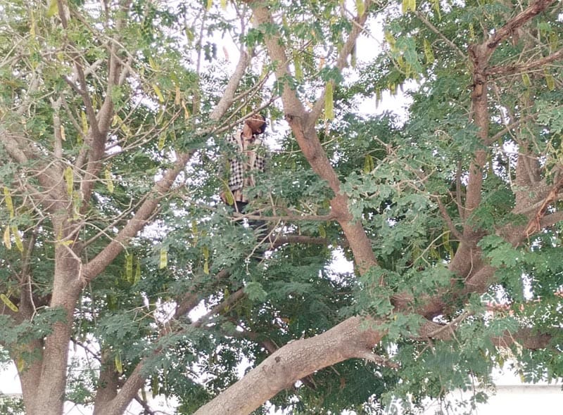 ¡LOCALIZAN A HOMBRE SIN VIDA COLGADO EN UN ÁRBOL!