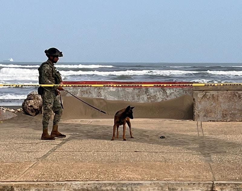 ¡ENCUENTRAN UNA GRANADA EN EL MALECÓN DE COATZACOALCOS!