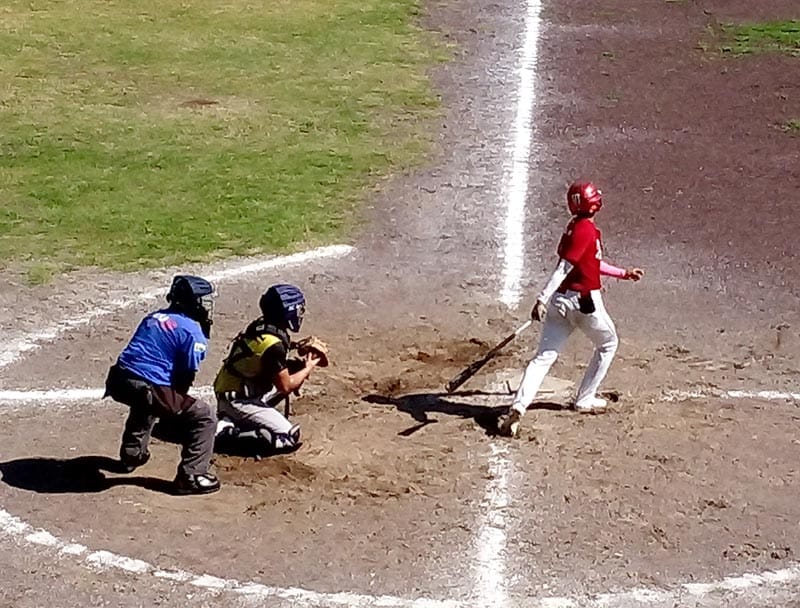 ¡liga Veracruzana De BÉisbol Afina Todos Los Detalles