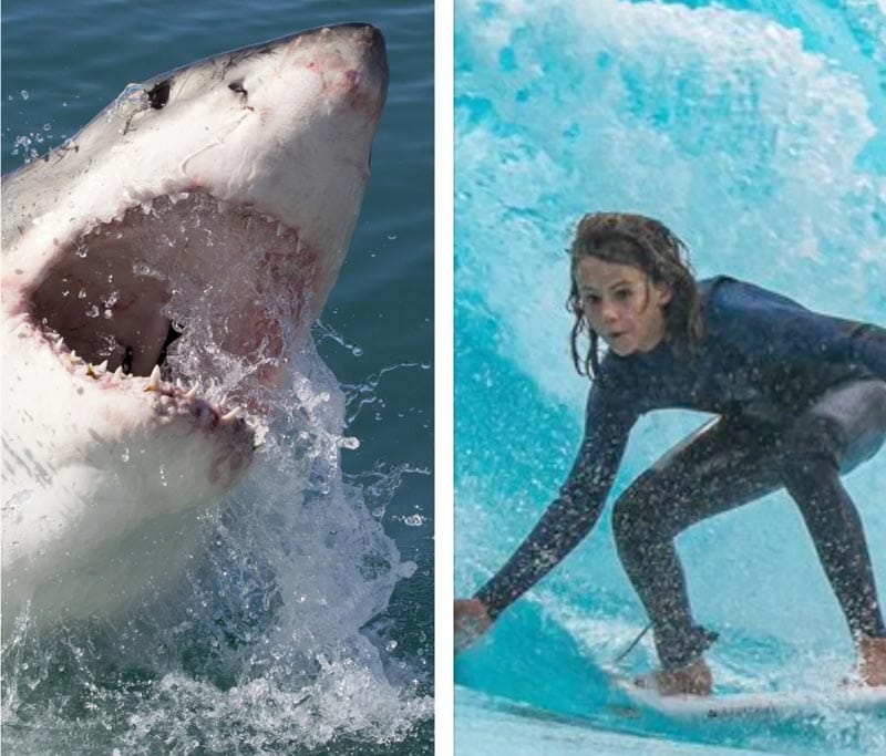 ¡SURFISTA AUSTRALIANO MUERE ATACADO POR UN TIBURÓN!