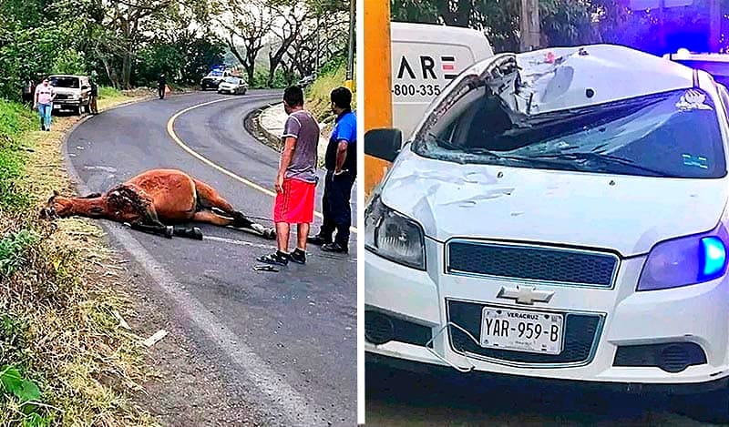 ¡LE DIERON DE LLENO AL CABALLO! - CARRETERA DE SANTIAGO TUXTLA