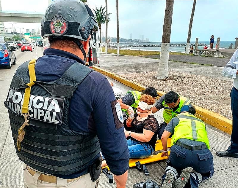 ¡ARROLLADA EN EL BOULEVARD! - DEL CAMELLÓN CRUZÓ CORRIENDO Y EL RULETERO YA NO PUDO FRENAR