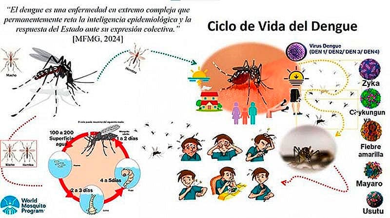 ¡700 CASOS DE DENGUE! - * Veracruz los Superó en el 2024