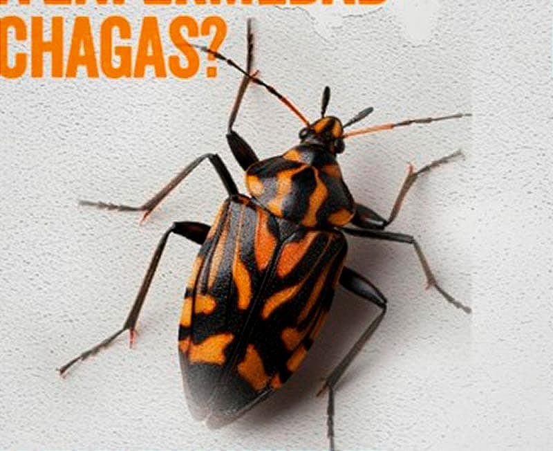 ¡ALERTA POR MAL DE CHAGAS! - *Se Trasmite a Través de la Chinche *De No Detectarse a Tiempo Puede Ser Fatal: Seguro Social