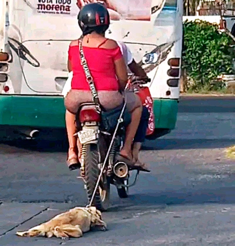 ¡PAREJA EN MOTOCICLETA ARRASTRARON A UN PERRITO!