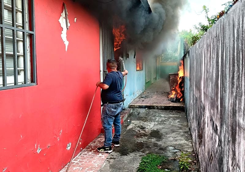 ¡TRES GATOS Y UN PERRITO MUEREN QUEMADOS EN CUARTO EN LLAMAS!