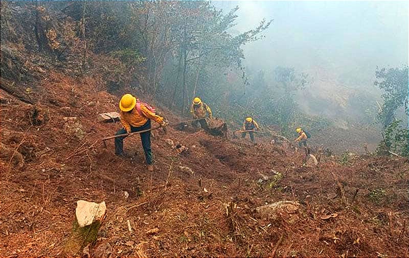 ¡LE PRENDEN FUEGO Y CAUSAN CAOS! - *Ya Hay Denuncias en la Fiscalía