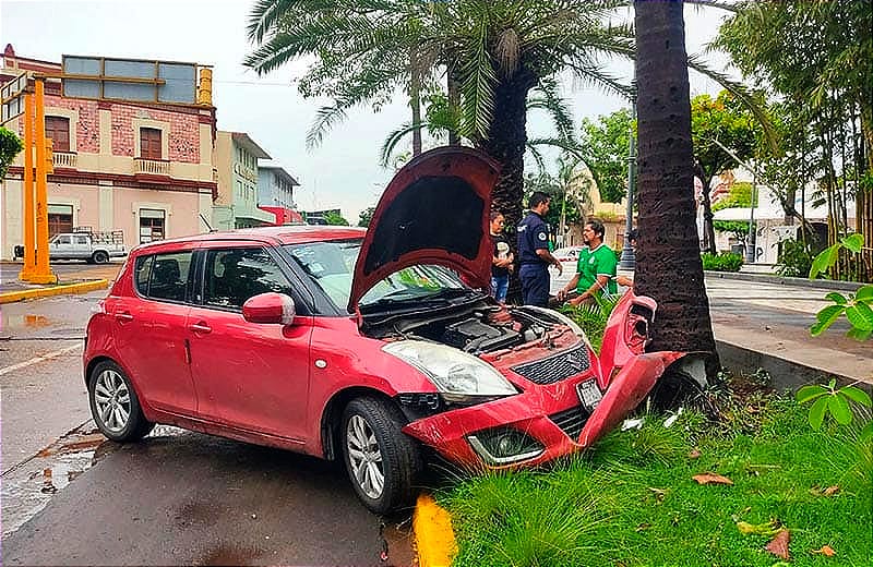 ¡COLISIONA CONTRA PALMERA EN EL PARQUE ZAMORA!