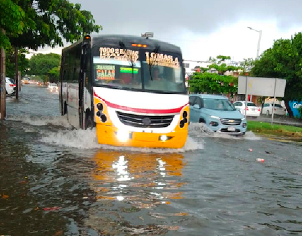 AGUACERAZO! - RAYOS Y CENTELLAS (Actualizada)