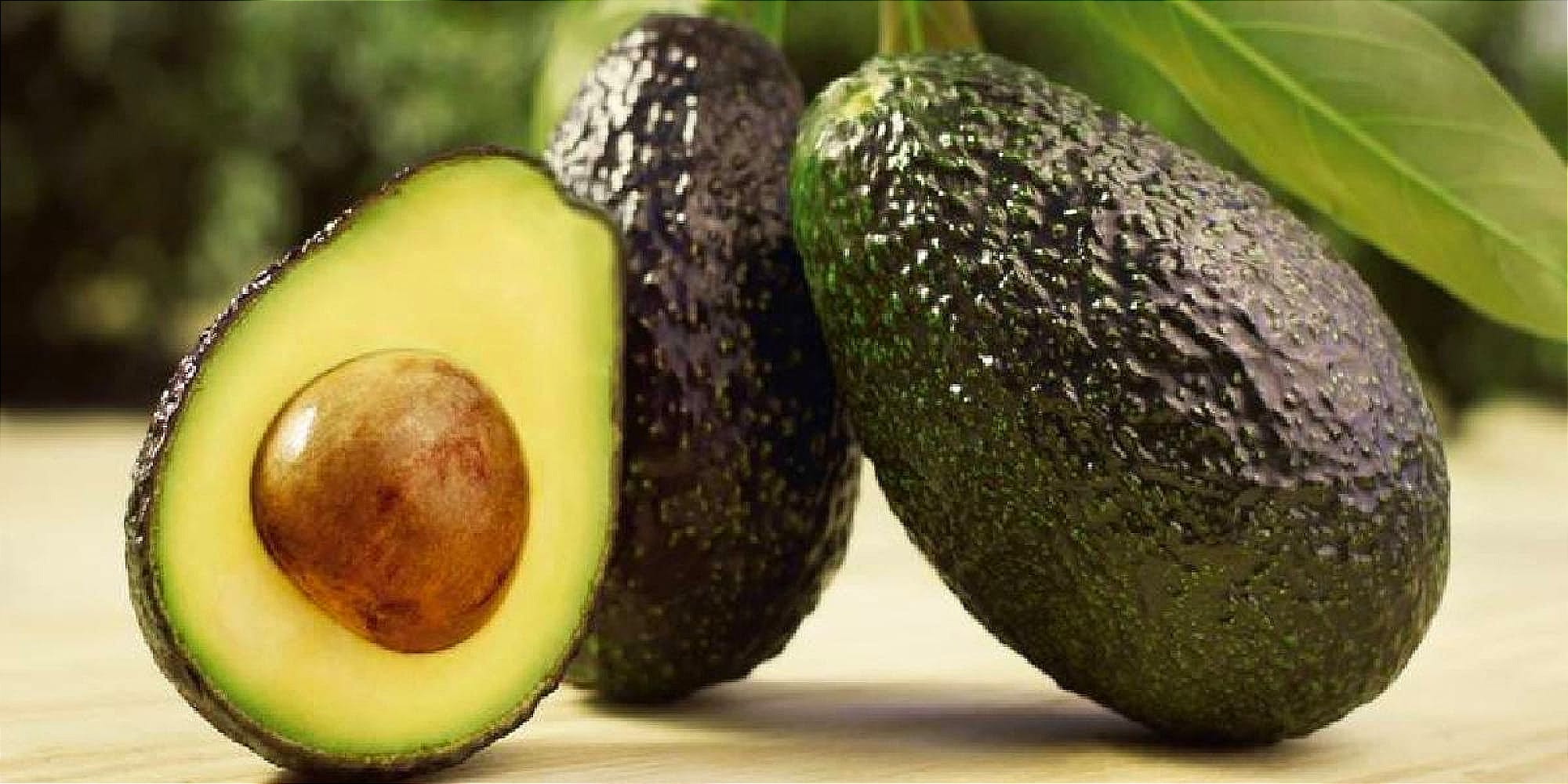 ¡COMERCIANTES DENUNCIAN ALZA DE 40% EN PRECIO DEL AGUACATE!