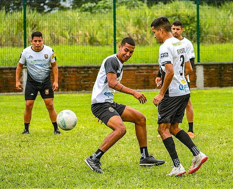 ¡ORIZABA Y TOROS, POR LA FINAL EN LA SLMX! - YA ESPERA MARINEROS…