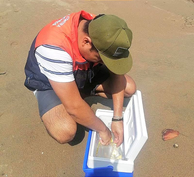 ¡SALVADOS! - *Volverán a revisar las playas y con lupa