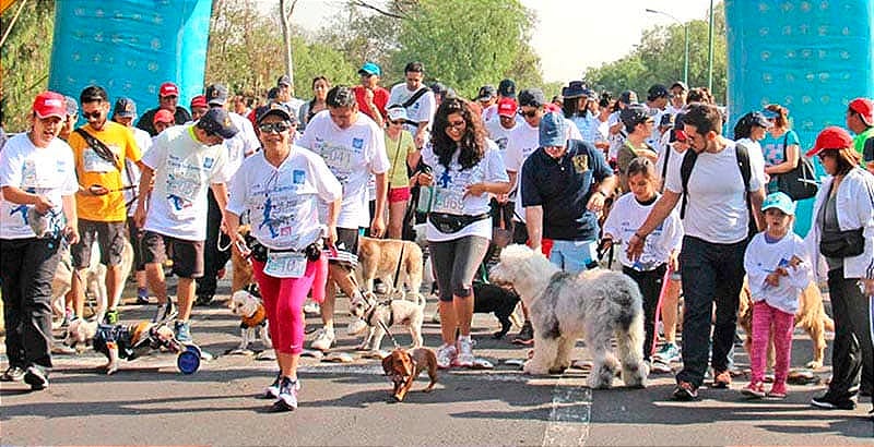 ¡INVITAN A LA PRIMER CAMINATA “RETORNO A LA MAR” FAMILIAR!