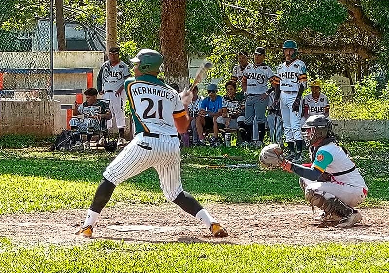 ¡SIGUE LA CONVOCATORIA AL TORNEO INSTRUCCIONAL DE BÉISBOL SUB 17!