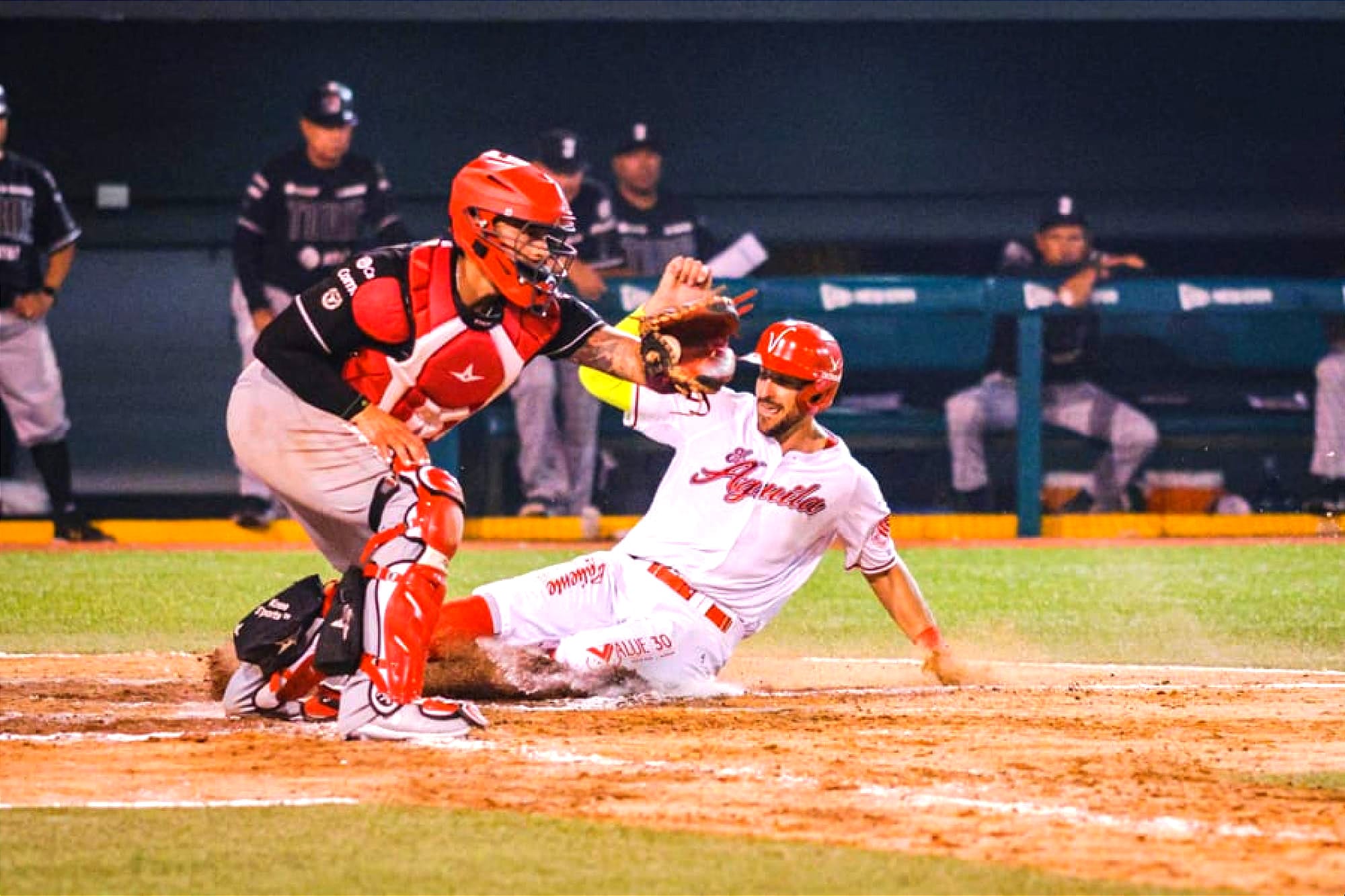 ¡A GANAR PARA LLEGAR AL PLAY OFF! - VIENEN LOS LEONES AL “BETO ÁVILA”!