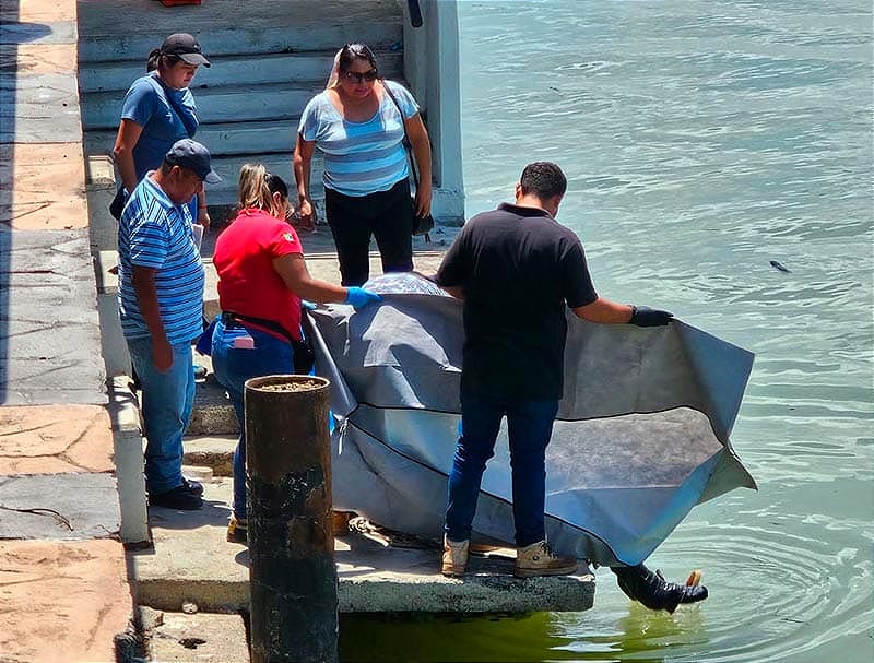 ¡LOCALIZAN CADÁVER FLOTANDO EN EL BULEVAR DE TUXPAN! - FRENTE AL BOULEVARD REYES HEROLES