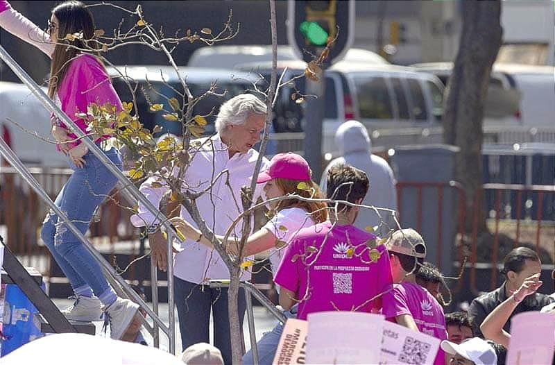 ¡VUELVE LA MAREA ROSA! - AHORA VA CONTRA LA “SOBRERREPRESENTACIÓN”!