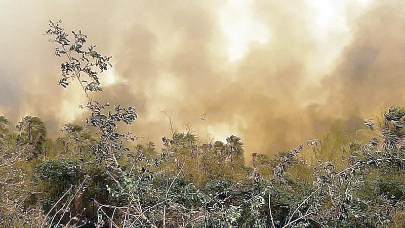 ¡EMERGENCIA NACIONAL POR LOS INCENDIOS FORESTALES! - EN BOLIVIA