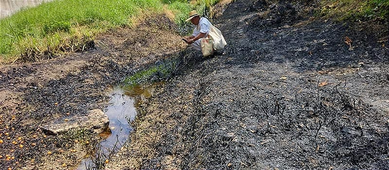 ¡ES UN ECOCIDIO! - TRUENAN CONTRA PEMEX