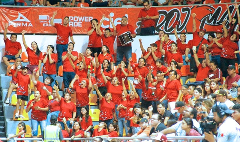 ¡INTENSA ESTA SEMANA PARA EL BASQUETBOL PROFESIONAL!