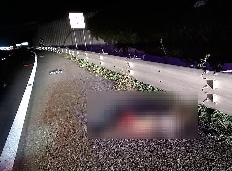 ¡MUERE ATROPELLADA POR UN “OVNI”! - *ENCONTRADA EN LA AUTOPISTA A XALAPA