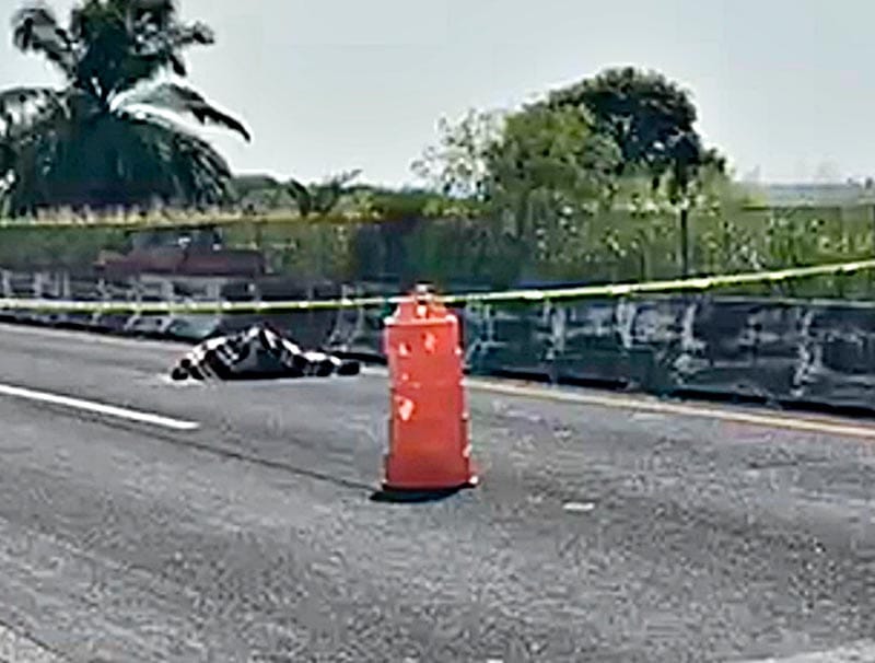 ¡DON MEMO PIERDE LA VIDA EN SU MOTO ARROLLADO POR UN CAFRE! - AUTOPISTA CARDEL-XALAPA