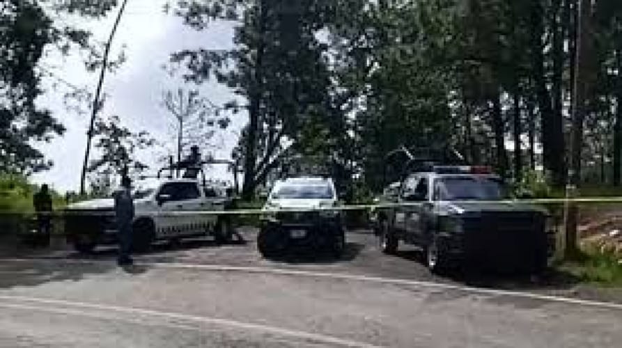 ¡ENCUENTRAN 7 CUERPOS EN ZONA BOSCOSA DE CUERNAVACA!