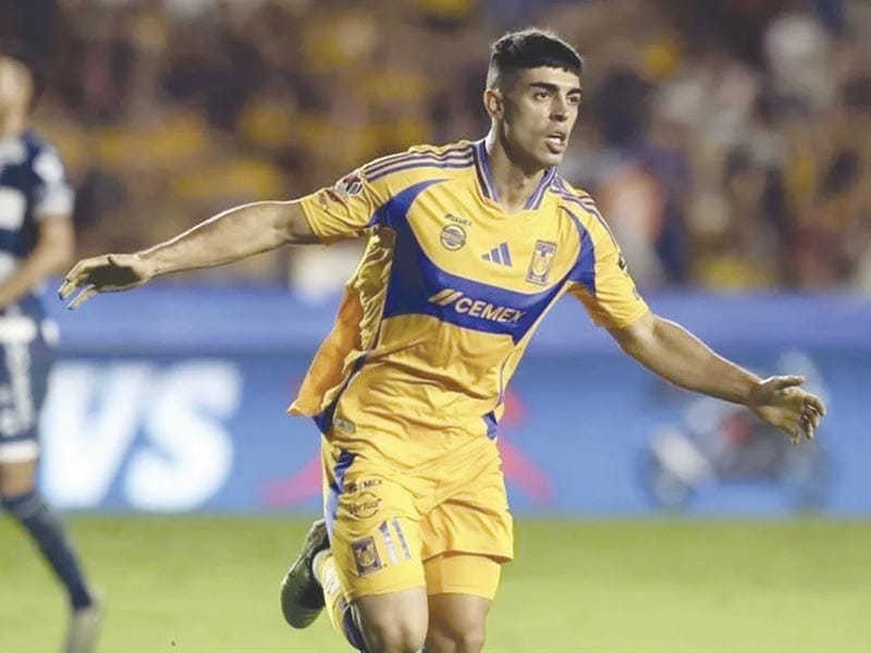 ¡TIGRES SACA TRIUNFO CON LAS PURAS GARRAS!