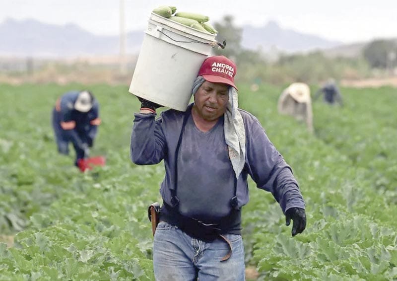 ¡IMPUESTO CRIMINAL PEGA AL CAMPO!