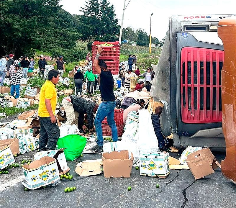 ¡RAPIÑA EN LAS CUMBRES DE MALTRATA! - ROBAN 17 TONELADAS DE LIMÓN!