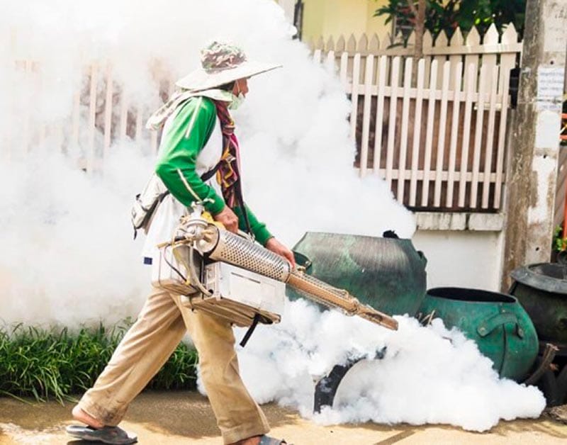 ¡YA SON 5 MIL CASOS DE DENGUE!