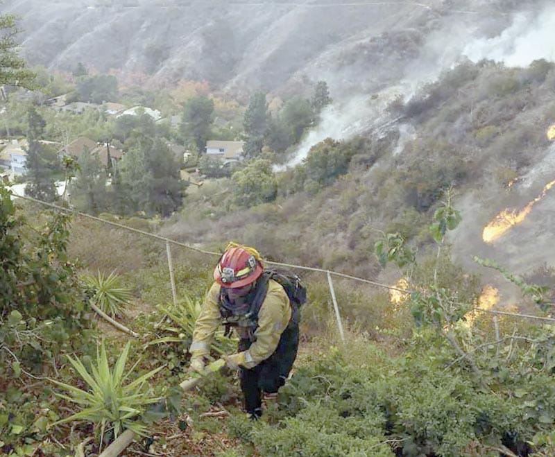 ¡VIENTOS AVIVAN INCENDIOS FORESTALES EN LOS ÁNGELES!